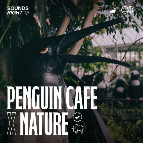 Cutting Branches for a Temporary Shelter